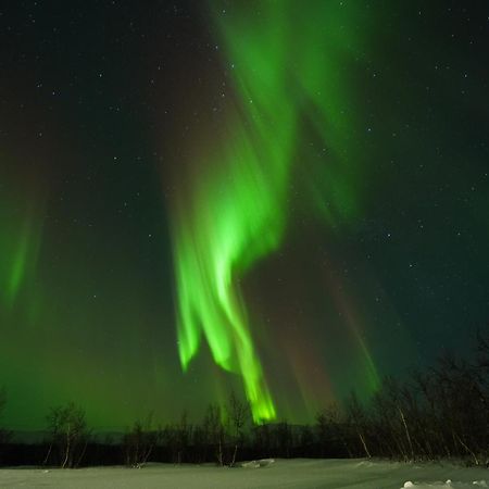 Northern Light Huts - Paradise Lapland Kiruna Exterior foto