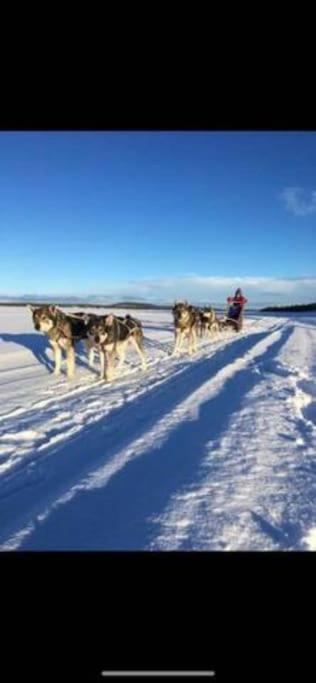 Northern Light Huts - Paradise Lapland Kiruna Exterior foto